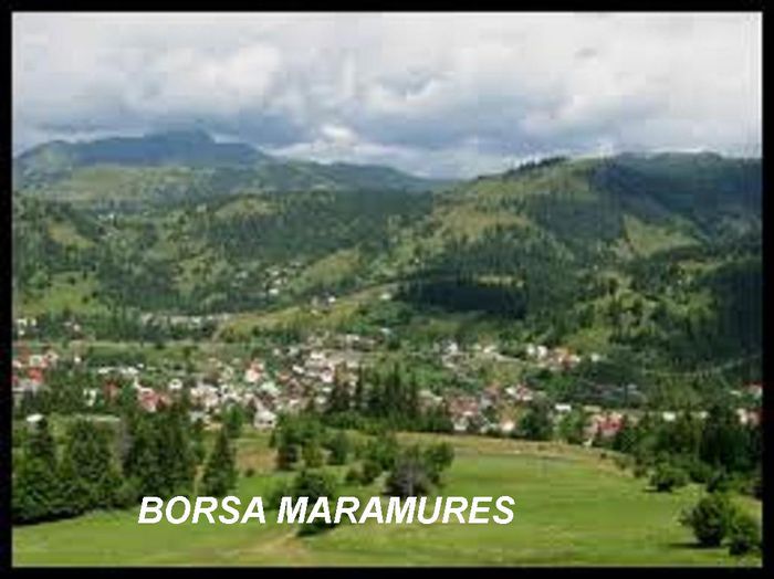 borsa maramures - BORSA MARAMURES