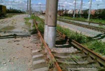 10342423_1468910860032963_5367242202599648463_n