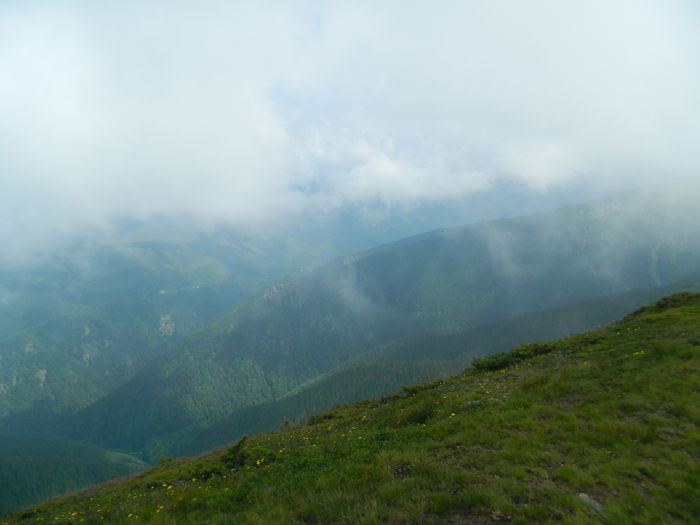 DSCN9298 - PARANG_6_2014