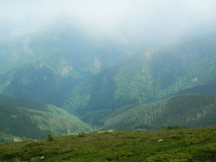 DSCN9299 - PARANG_6_2014