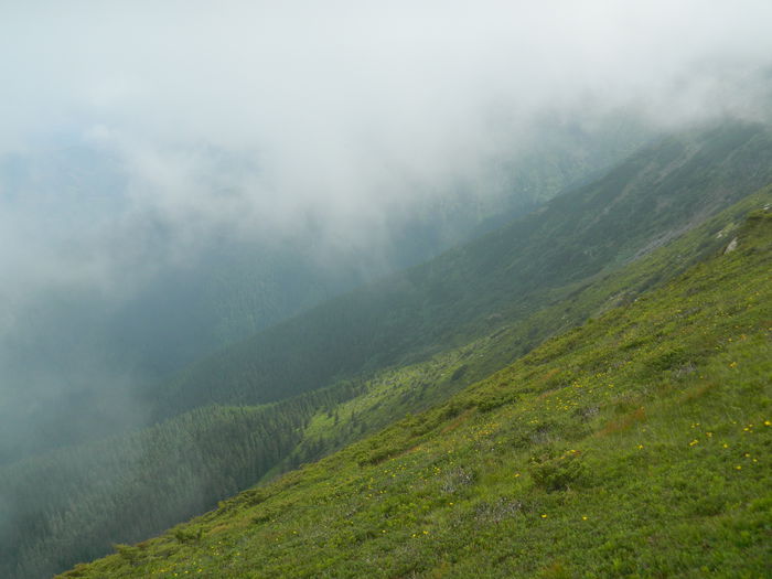 DSCN9302 - PARANG_6_2014