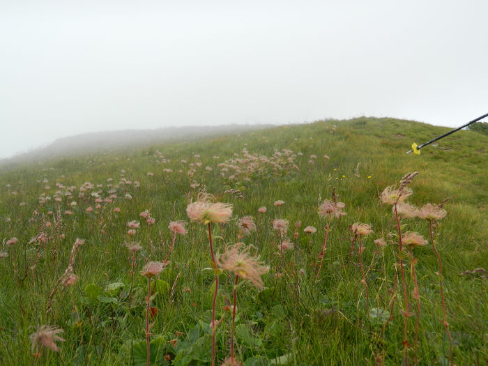 DSCN9303 - PARANG_6_2014