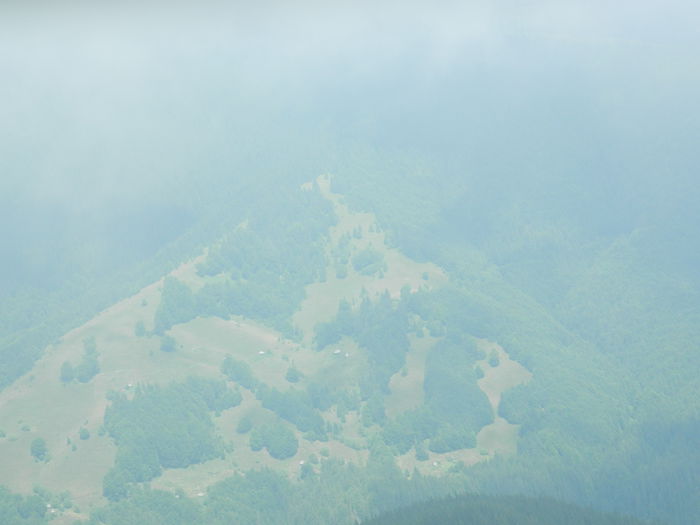 DSCN9304 - PARANG_6_2014