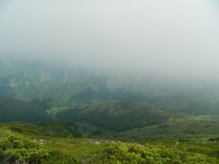 DSCN9309 - PARANG_6_2014