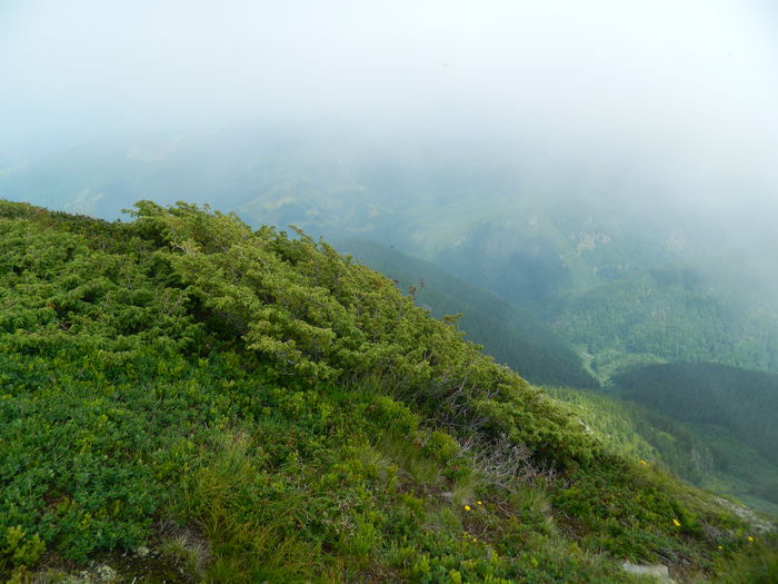DSCN9311 - PARANG_6_2014