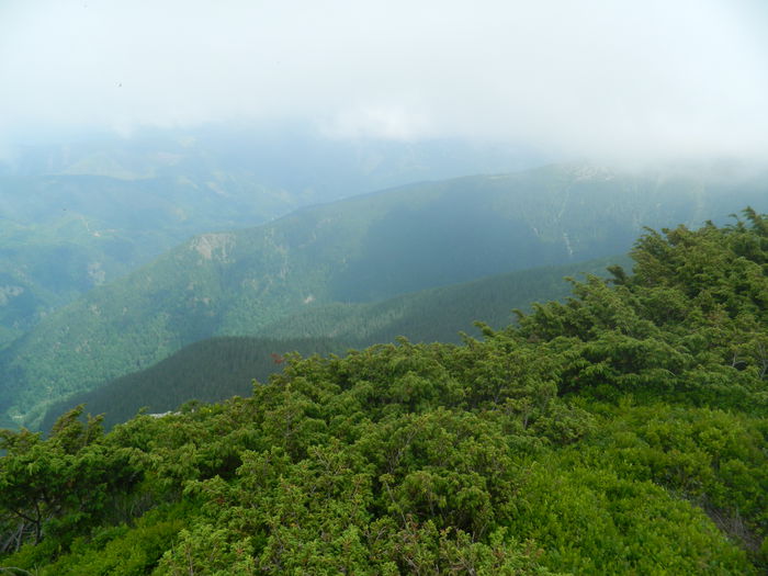 DSCN9321 - PARANG_6_2014