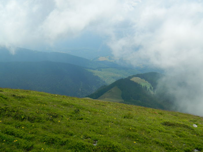 DSCN9330 - PARANG_6_2014