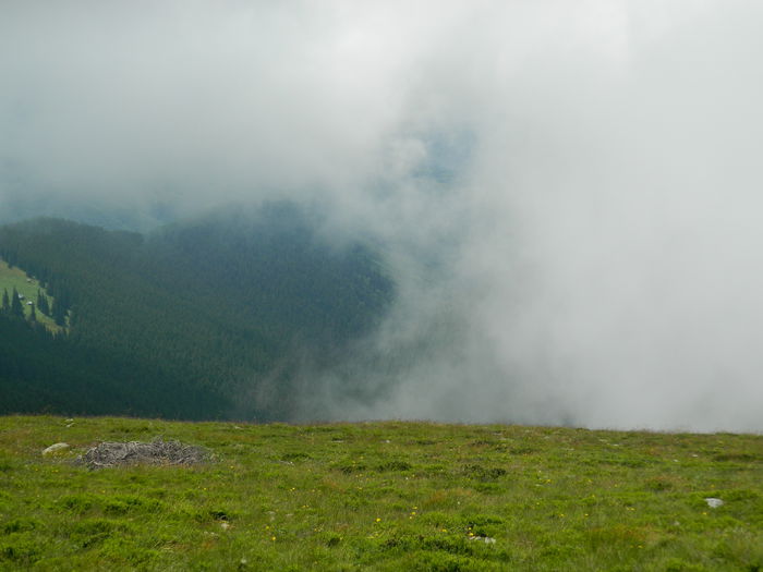 DSCN9333 - PARANG_6_2014