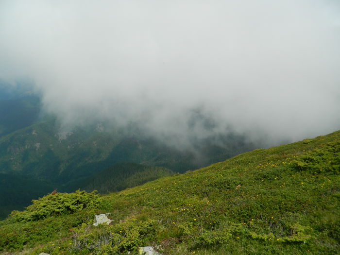 DSCN9335 - PARANG_6_2014