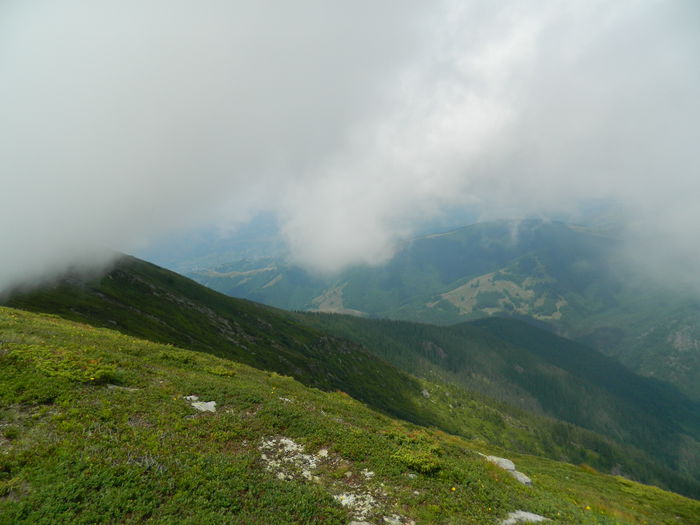 DSCN9341