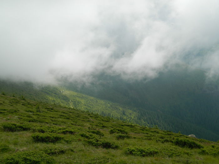 DSCN9347