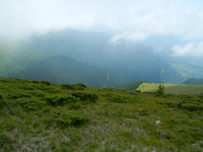 DSCN9351