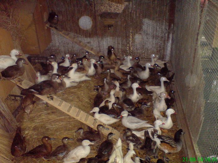 DSC03932 ne-am inmultit