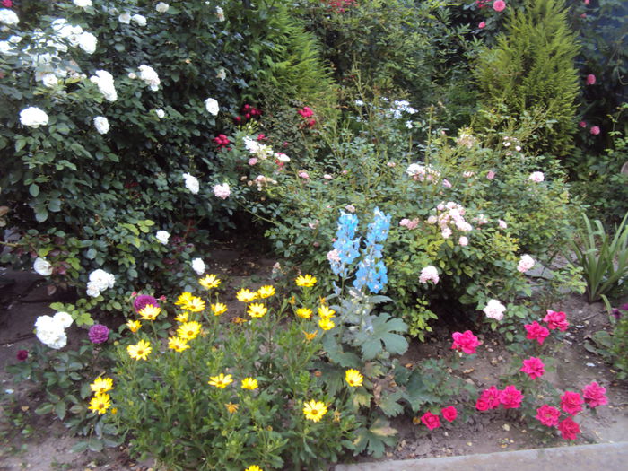 DSC01956