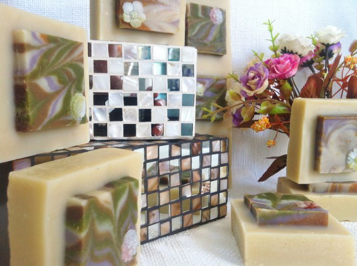 CIMBRISOR DE CAMP SI FLORI DE SANZAIENE