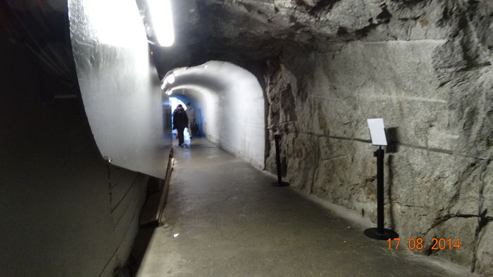 2014_08200780 - Chamonix Mont Blanc