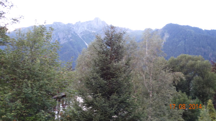 2014_08200875 - Chamonix Mont Blanc