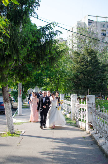 STP_8795