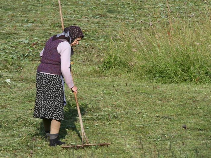 fin la latitudinea obstii- primariei - borsa maramures transilvania romania - ROCK Vacation FREE TIME vacanta timp liber week end