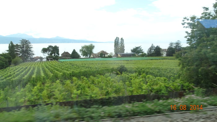 2014_08200707 - Lausanne