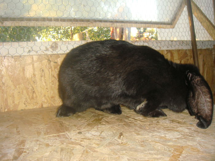 DSC04471