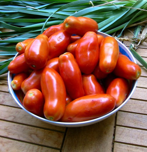 San Marzanos- pentru detergenti biodegradabili; daca au apa - ceea ce maramuresul are din plin - dau recolte gigantice

planta contine lanolina - 
perfecta in tratarea blanurilor-
din ea se pot obtine detergenti


Roasted Tomato Garlic Soup

