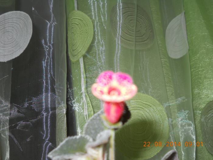 031
