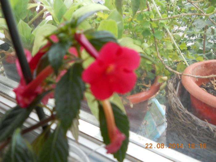 054 - AUGUST 2014