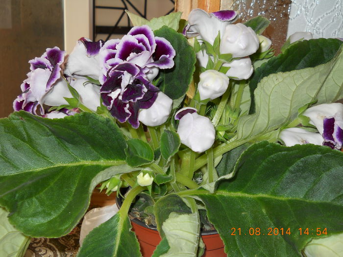 001 - ACHIZITII 2014