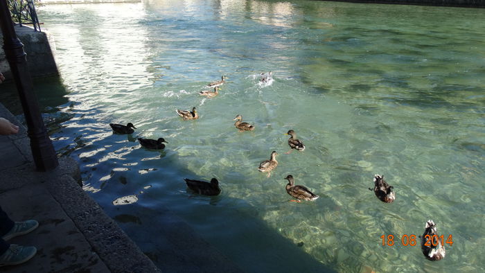 2014_08201049 - Annecy