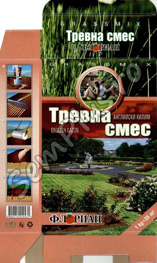 GAZON COVOR ENGLEZESC-HOBBY - FATA