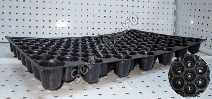 Tavi de cultivare pentru rasad VVY85 - 2,99 lei; Foarte potrivite pentru rasaduri si plante tinere. In functie de gradul de maturitate al rasadului, se folosesc diverse tipuri de tavite.
