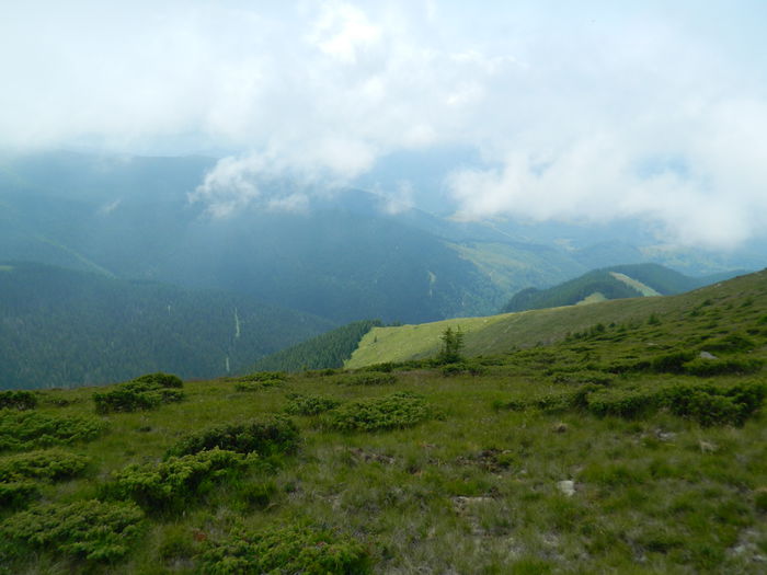 DSCN9352