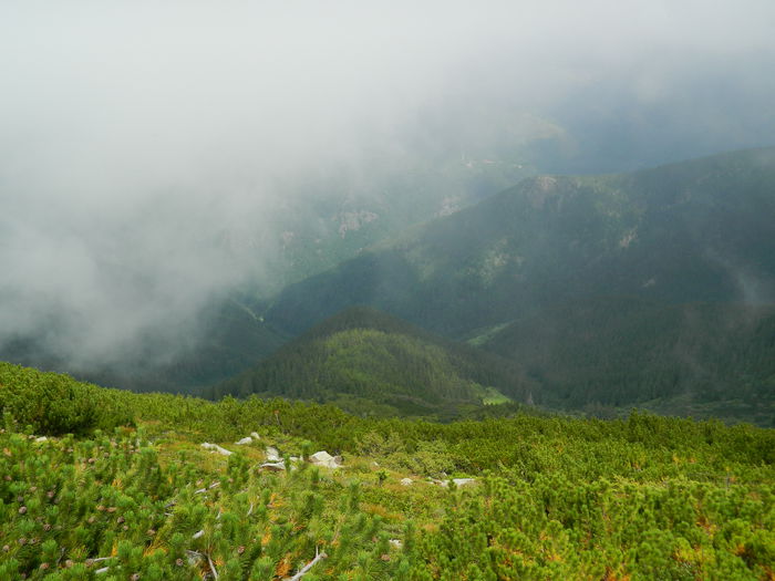 DSCN9358