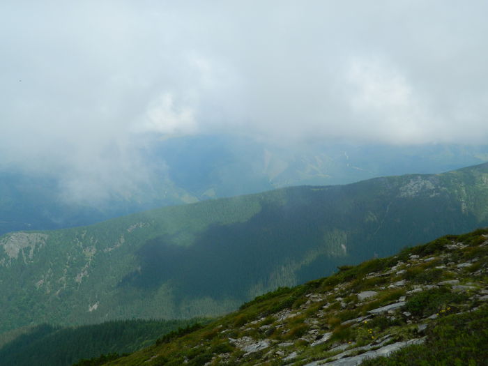 DSCN9366