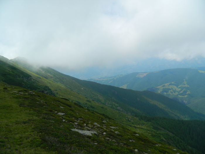 DSCN9367