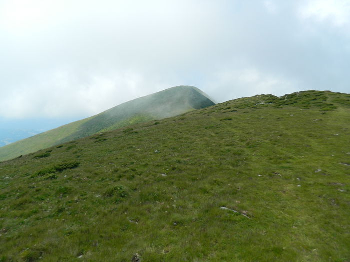 DSCN9371
