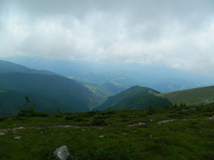 DSCN9372