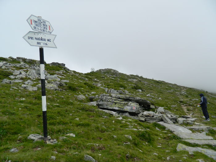 DSCN9374