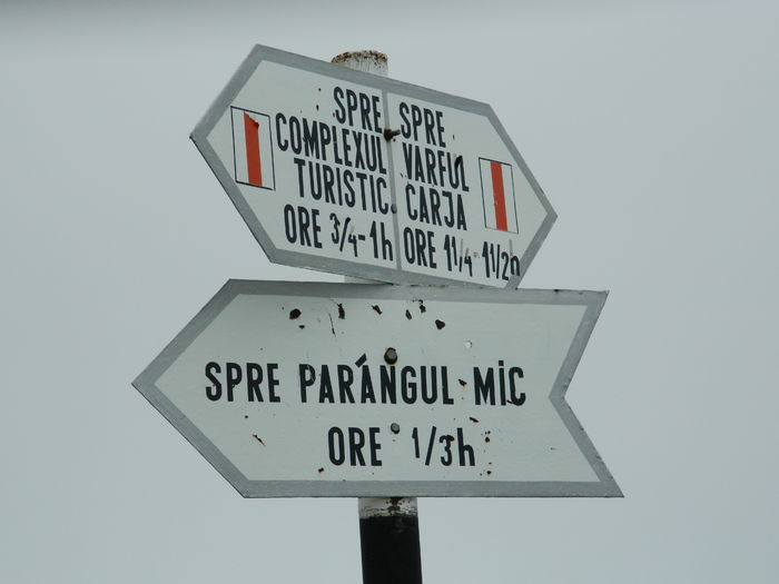 DSCN9375