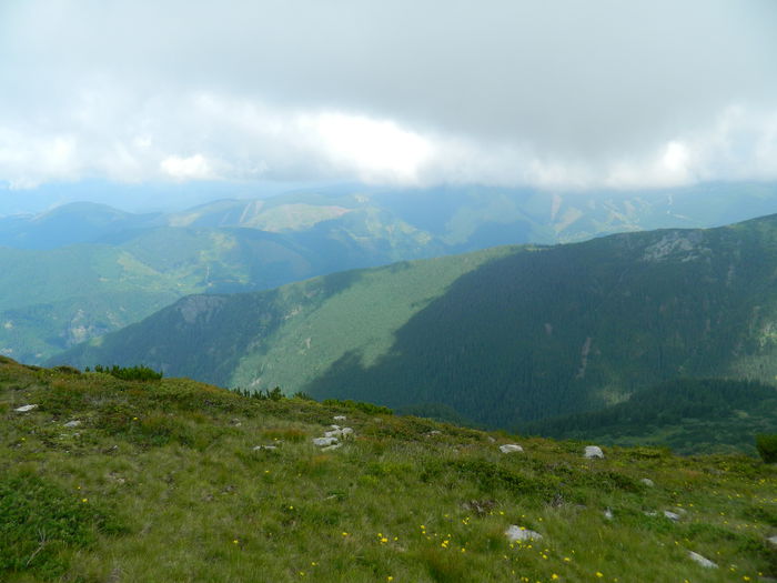 DSCN9378