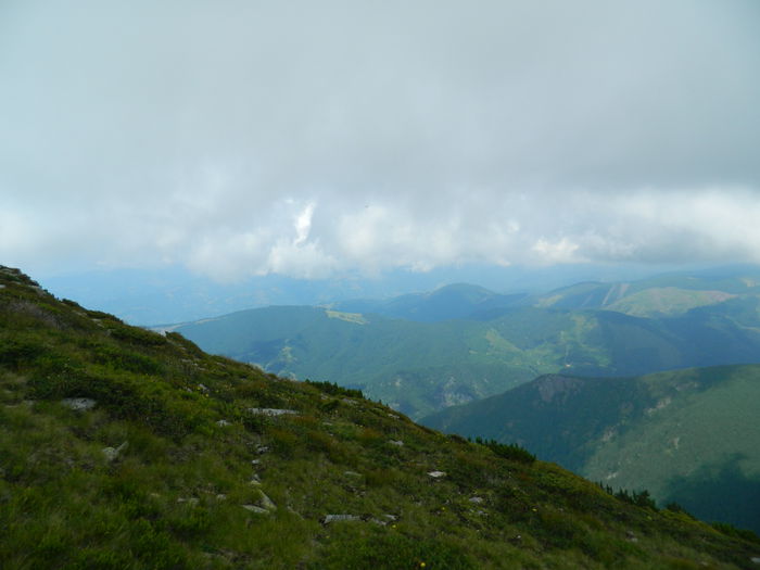 DSCN9379