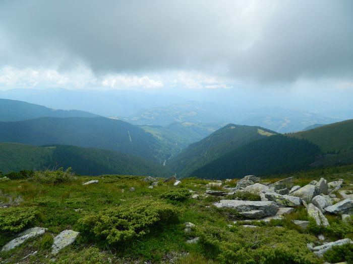 DSCN9387