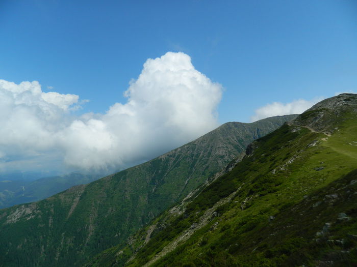 DSCN9400