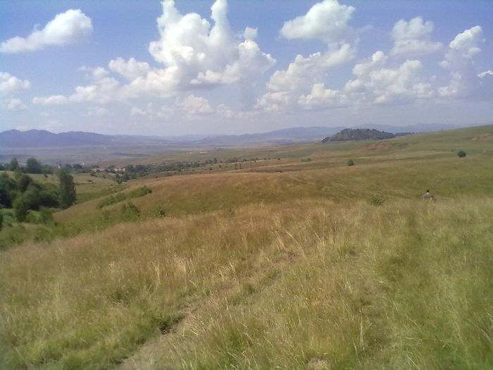 19072014211 - Natura