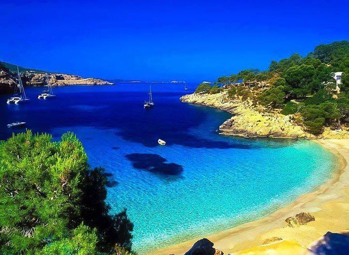 1898122_722553671100032_1512863271_n