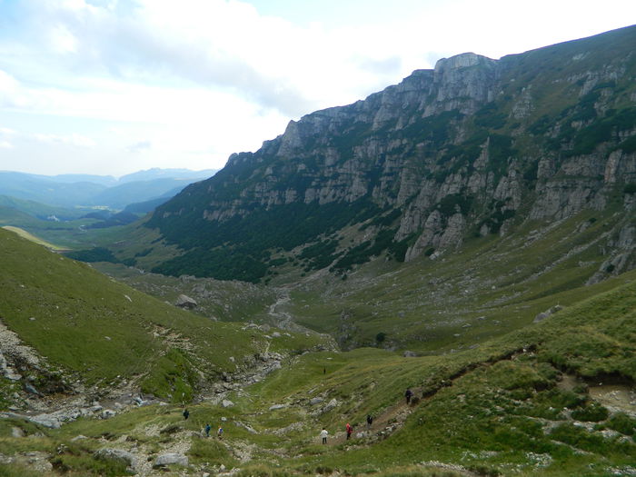 DSCN2112; Valea Doamnei.
