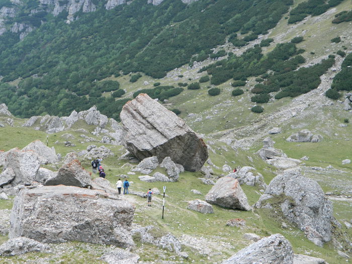 DSCN2126 - EXCURSIE BUCEGI 2014