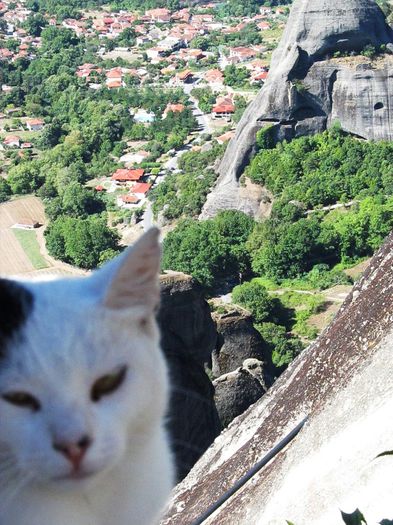 MANASTIRILE METEORA (152)