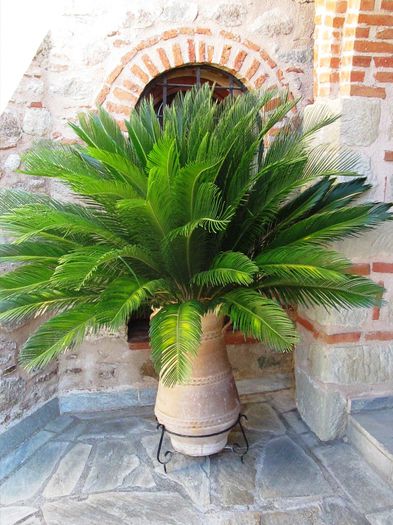 MANASTIRILE METEORA (162)